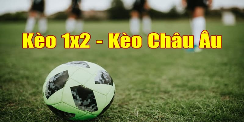 Kèo châu âu Kèo châu âu là gì và vì sao nó đơn giản