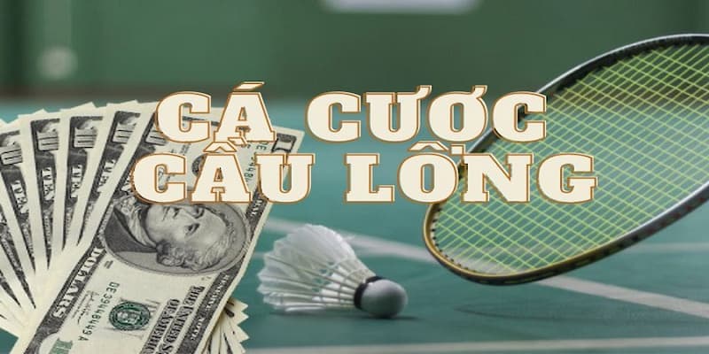 Cá Cược Cầu Lông Vì sao nên chơi Cá Cược Cầu Lông
